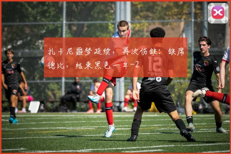 扎卡尼噩梦延续，再次伤缺：缺席德比，结束黑色一年