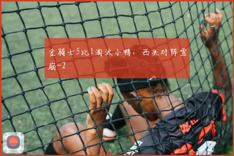 金骑士5比1淘汰小鸭，西决对阵雪崩