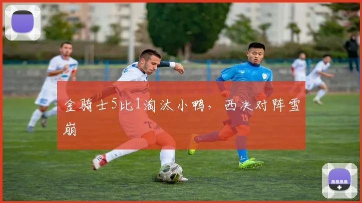 金骑士5比1淘汰小鸭，西决对阵雪崩