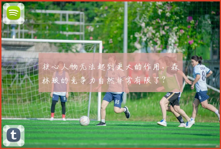 核心人物无法起到更大的作用，森林狼的竞争力自然非常有限了？